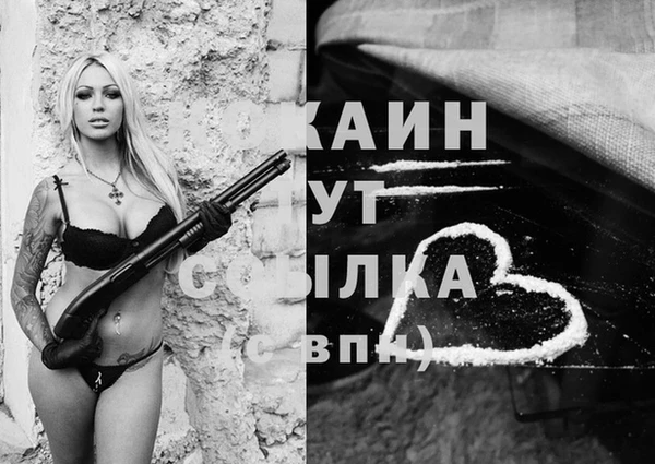 ECSTASY Алзамай