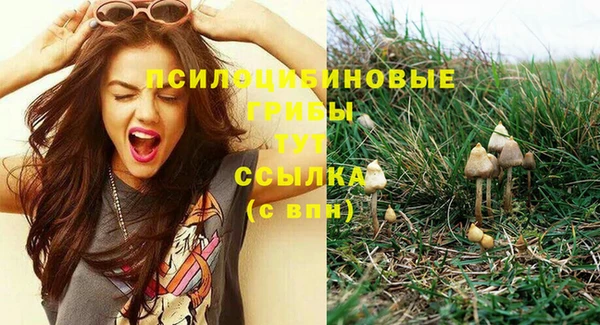 ECSTASY Алзамай