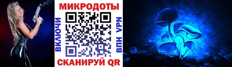 Галлюциногенные грибы мухоморы  ссылка на мегу как зайти  Арск  купить  